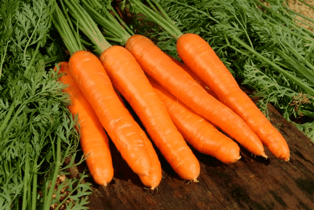 Τα καρότα είναι μια δημοφιλής λαϊκή θεραπεία για τη θεραπεία της ανδρικής ισχύος. 